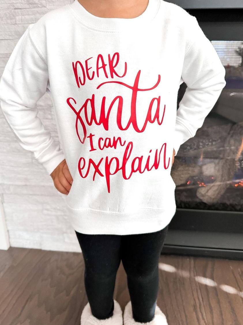 Dear Santa I Can Explain Crew