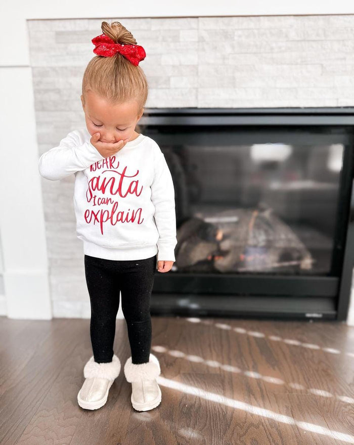 Dear Santa I Can Explain Crew