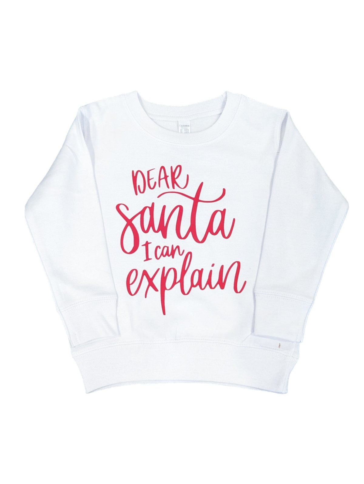 Dear Santa I Can Explain Crew