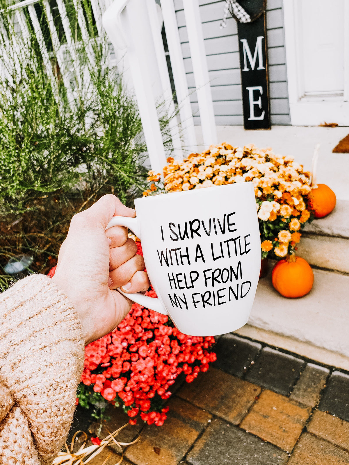 I Survive With A little Help From My Friend Mug - Mug
