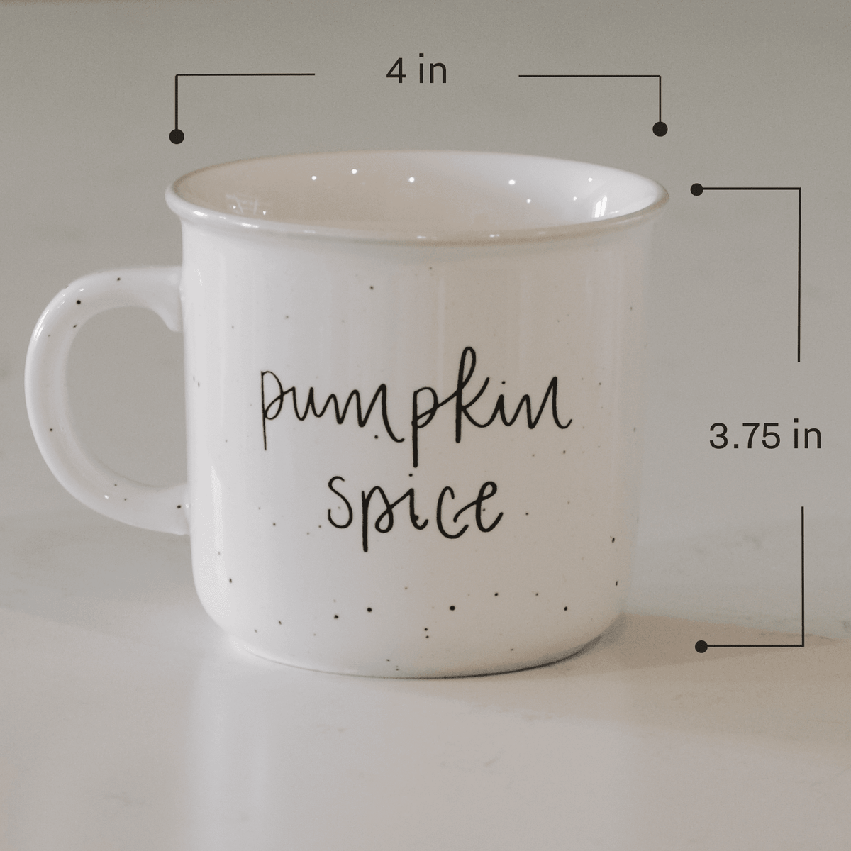 Pumpkin Spice 16oz. Rustic Campfire Coffee Mug