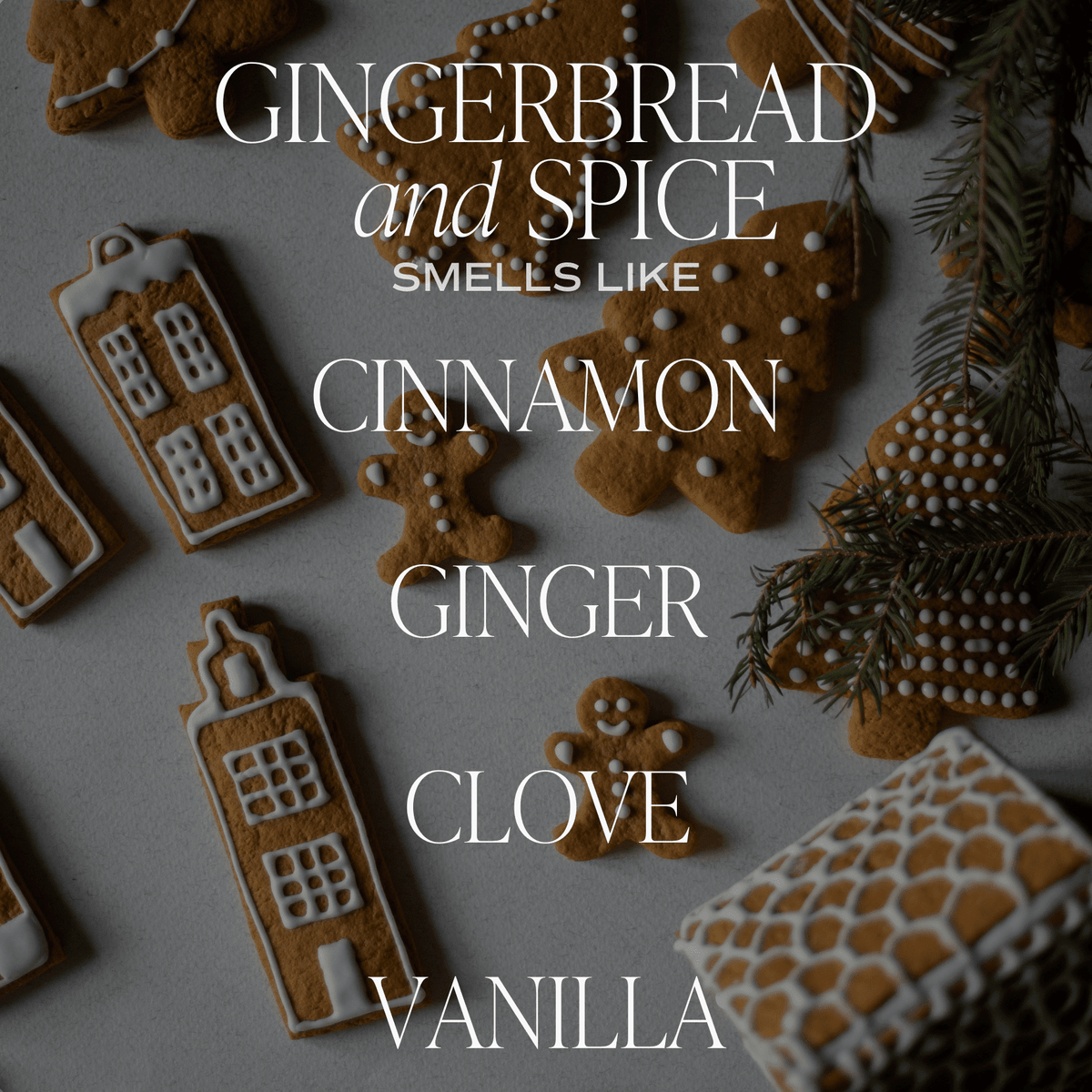 Gingerbread and Spice Soy Candle - White Jar - 11 oz