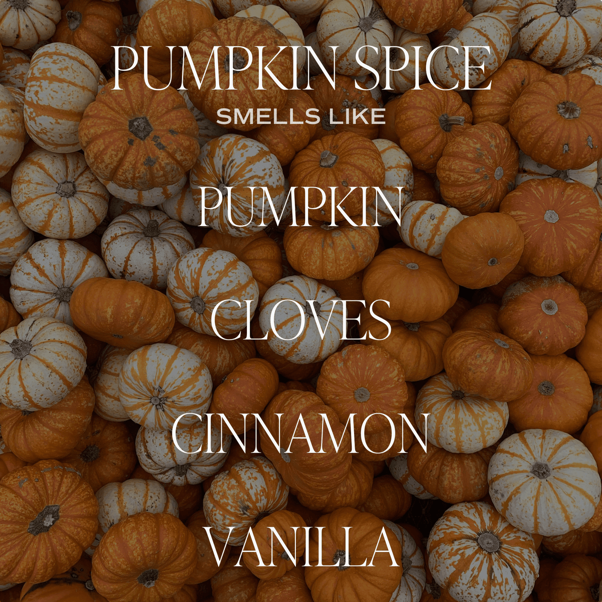 Pumpkin Spice Soy Candle | 9oz. Amber Jar