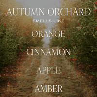 Autumn Orchard Soy Candle | 9oz. Clear Jar (Mulled Cider)