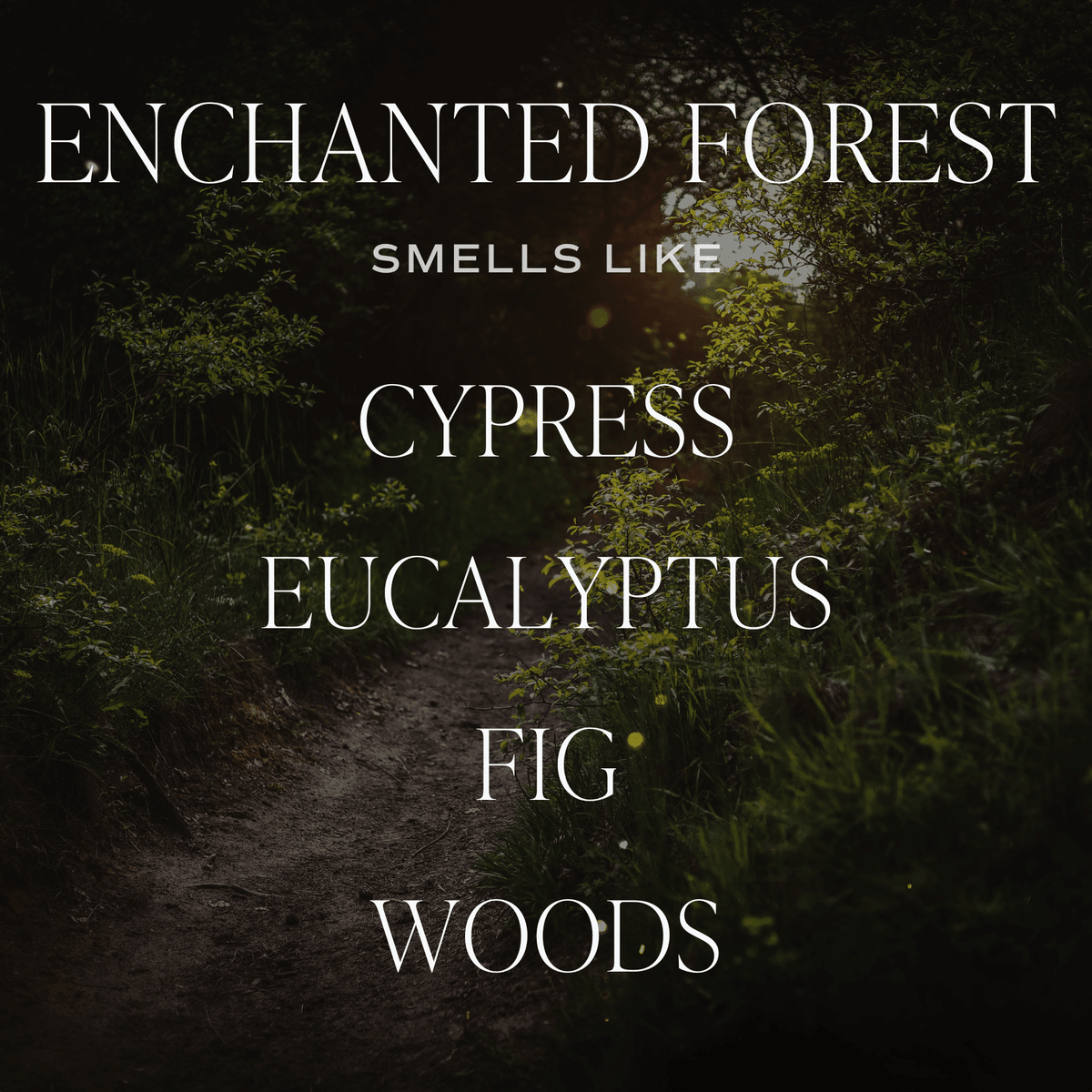 Enchanted Forest Soy Candle - Green Matte Jar - 15 oz (Cypress and Fig)