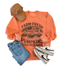 Farm Fresh Pumpkins Pullover